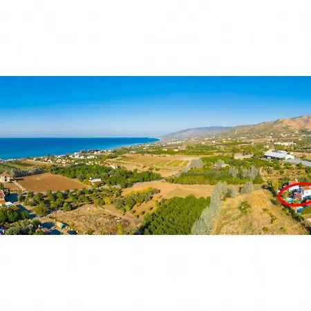 Christos アルガカ